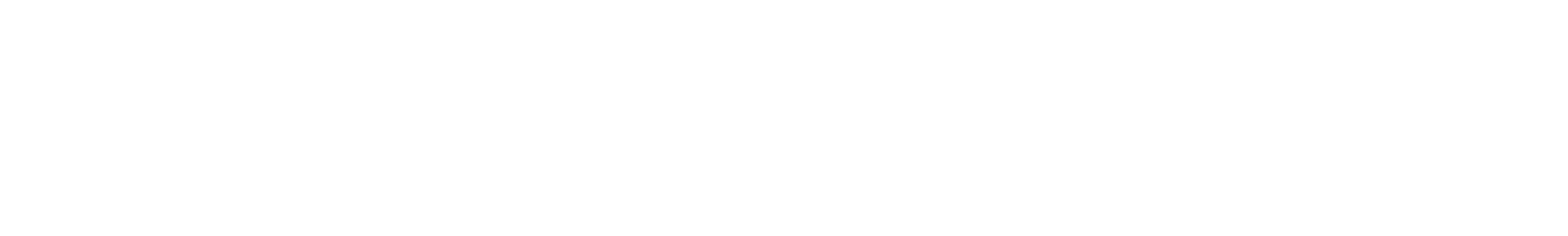  logo light bg
